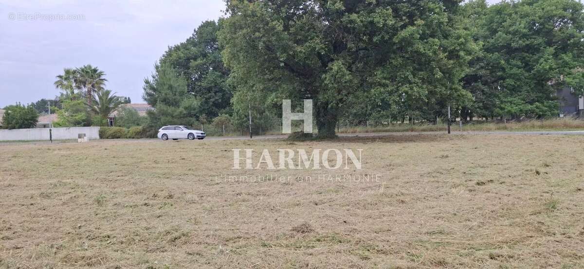 Terrain à LA TESTE-DE-BUCH