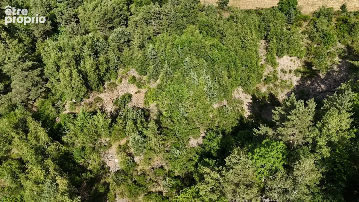 Terrain 17 650 m² à vendre à Lachamp (48100) - photo 5