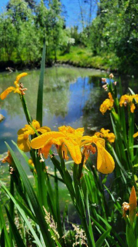 Maison à SAINT-JORY
