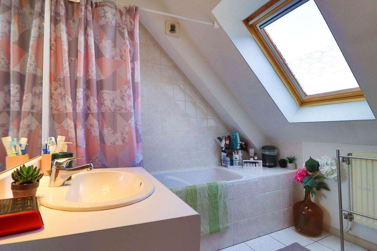 Appartement à WINTZENHEIM