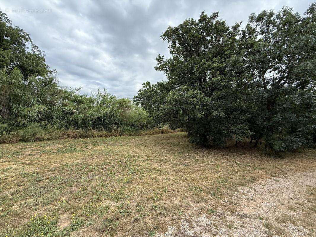 Terrain à CASTELNOU