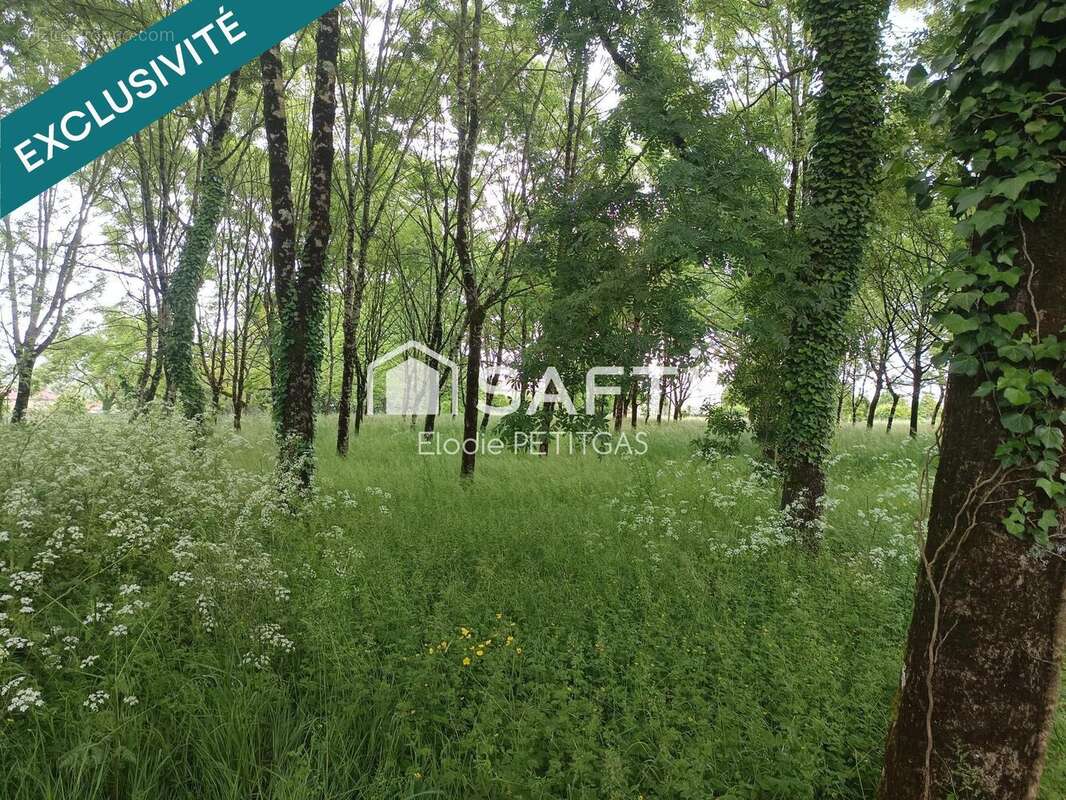 Photo 2 - Terrain à FONTENAY-LE-COMTE