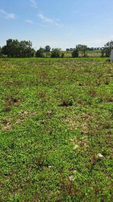 Terrain à THAIRE