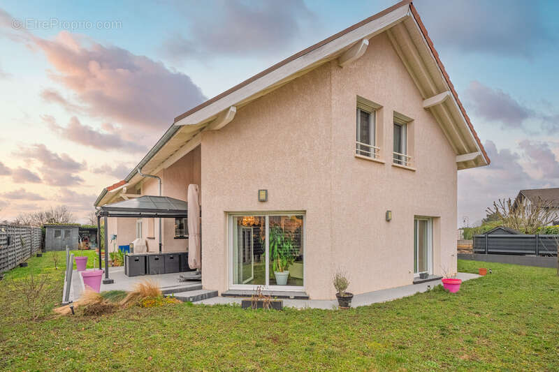 Maison à vendre 7 pièces SEGNY (01) - photo 3
