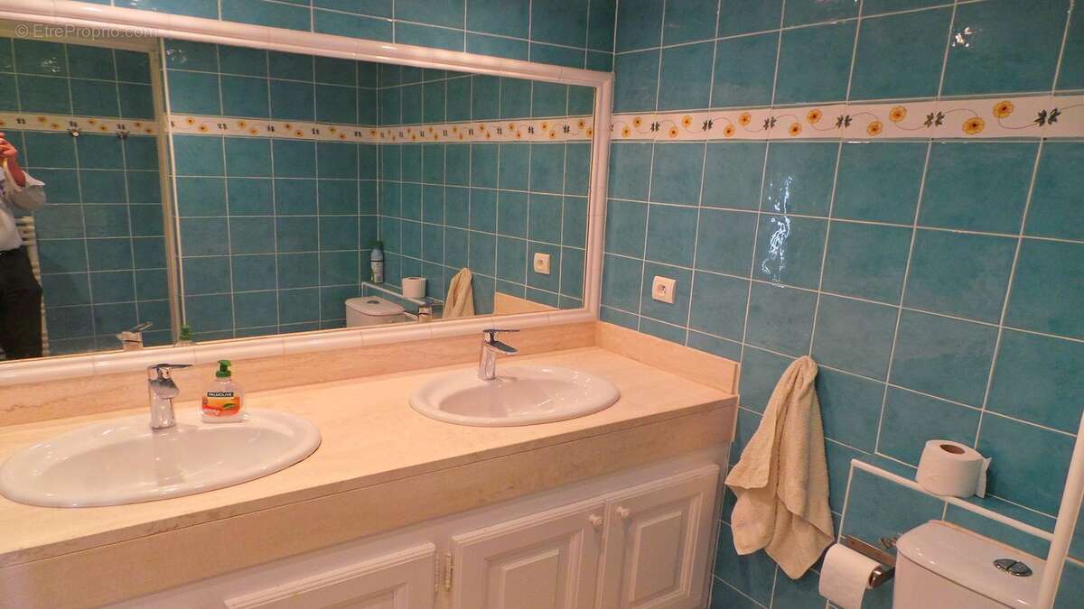 Maison à LES ISSAMBRES