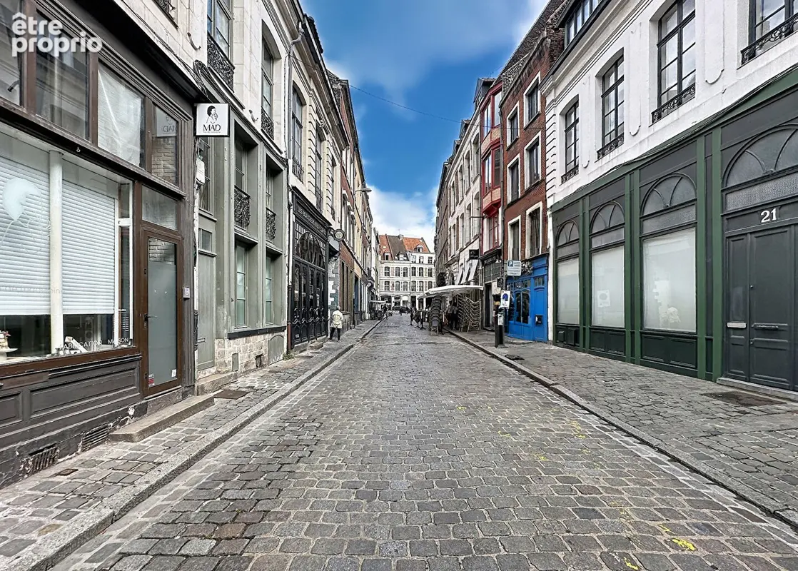 Vieux Lille, superbe maison du 18 ième entièrement rénovée de 110 m², 3 chambres, terrasse , cave - photo 9