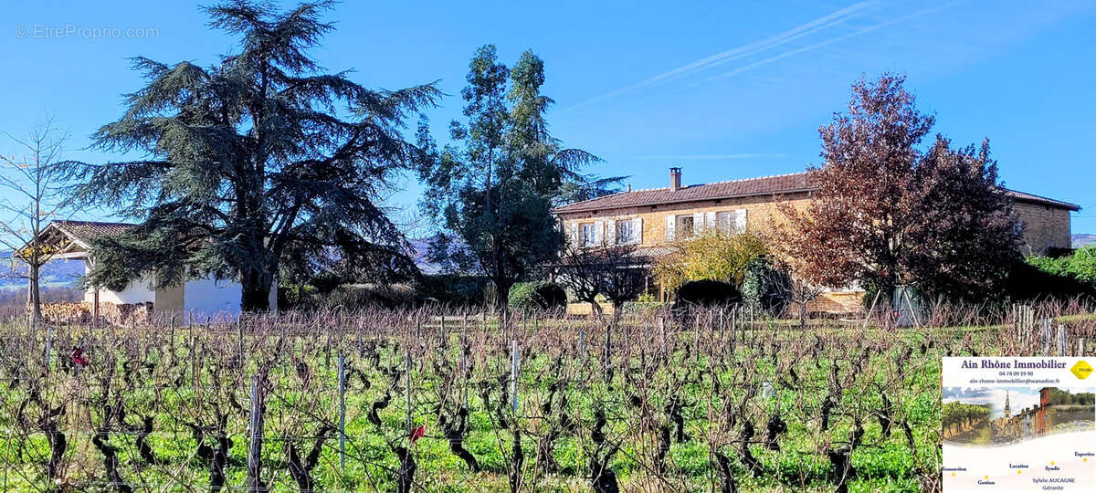 Maison à LIERGUES