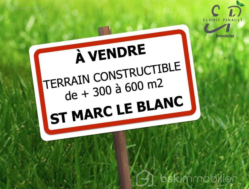 Terrain à LE TIERCENT