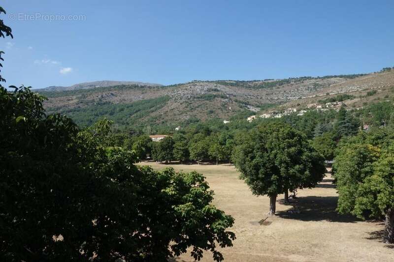 Commerce à SAINT-VALLIER-DE-THIEY