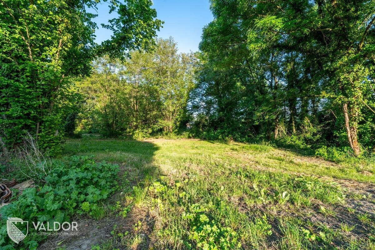 Terrain à LES CHERES