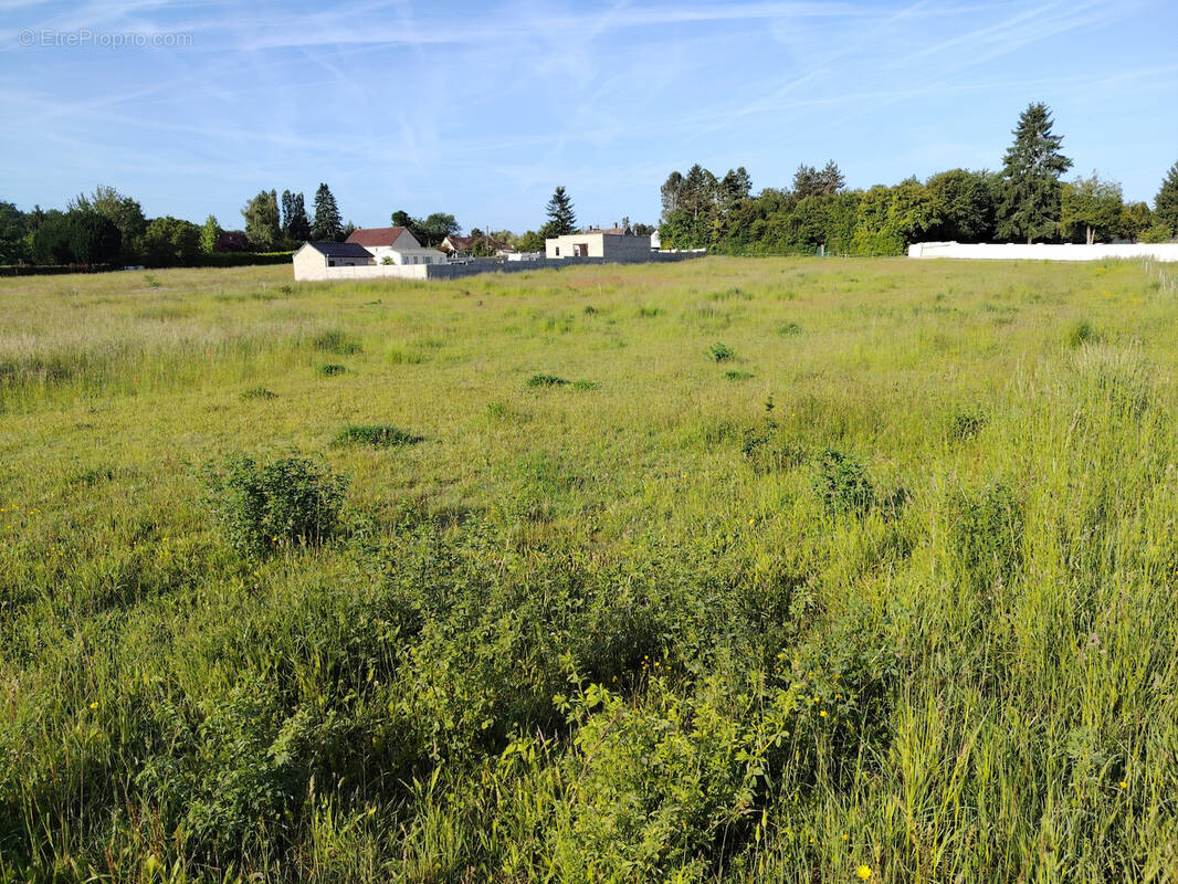 Terrain à PONT-SUR-YONNE