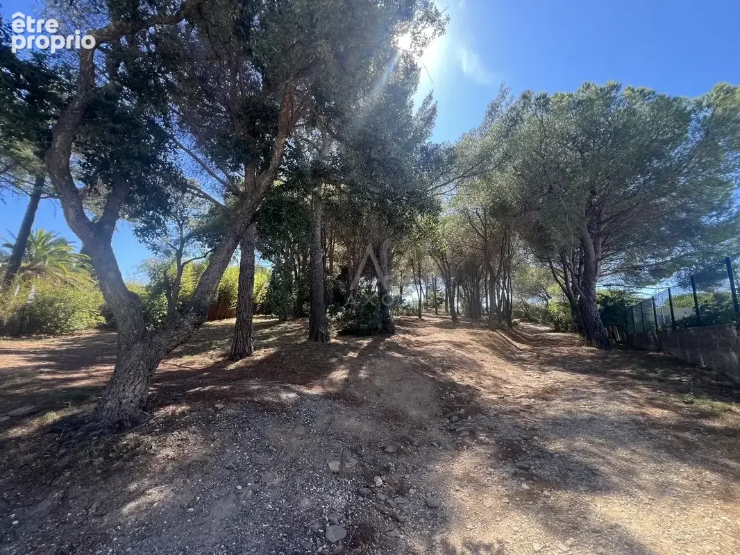 Bel appartement T2 vue mer exceptionnelle - Le Lavandou (83) - photo 13