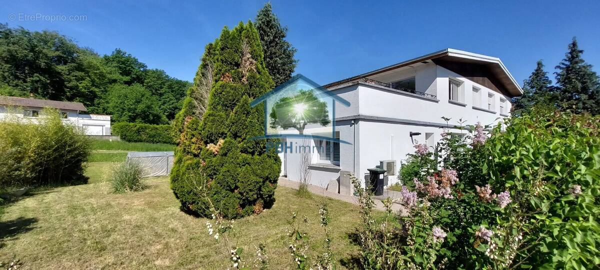 Appartement à NOMEXY