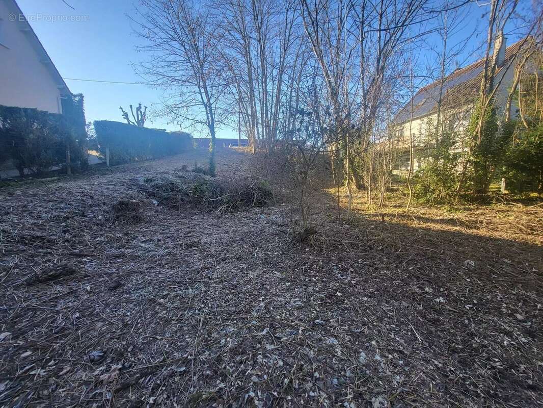 Terrain à CHALETTE-SUR-LOING