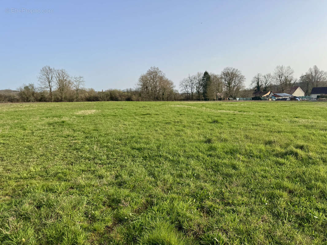 Terrain à SAINT-VIANCE