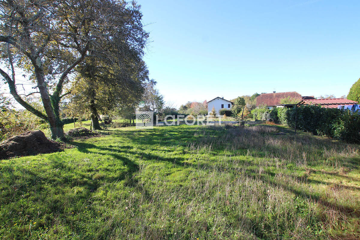 Terrain à ORTHEZ