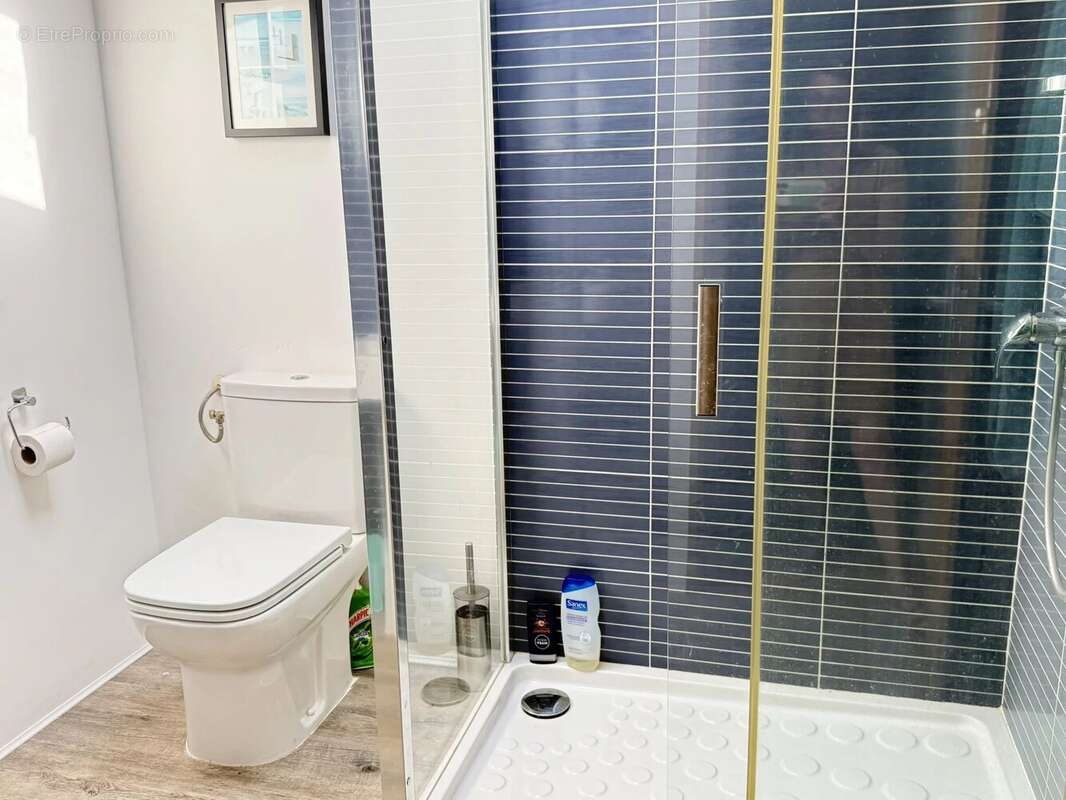 Propriété avec 1 ou 2 gites et piscine - photo 9
