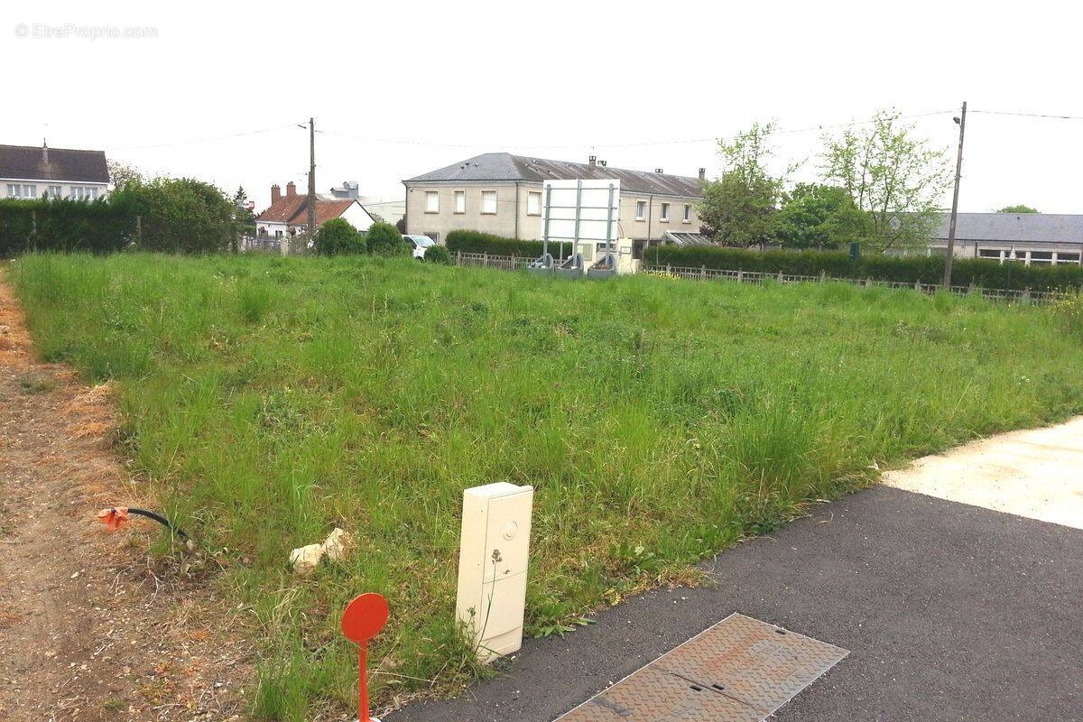 Terrain à NEUVY-LE-ROI