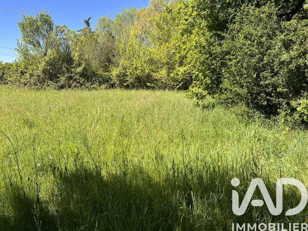 Photo 8 - Terrain à CHARROUX