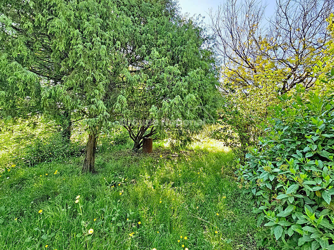Maison Montauroux 4 pièce(s) - photo 4