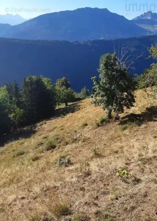 Commerce à BONNEVAL