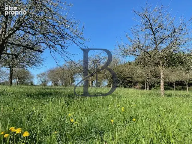 Maison 4 pièces 150 m² à vendre à Notre-Dame-De-Cenilly (50210) - photo 3