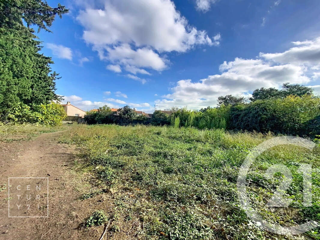 Terrain à TOULOUGES