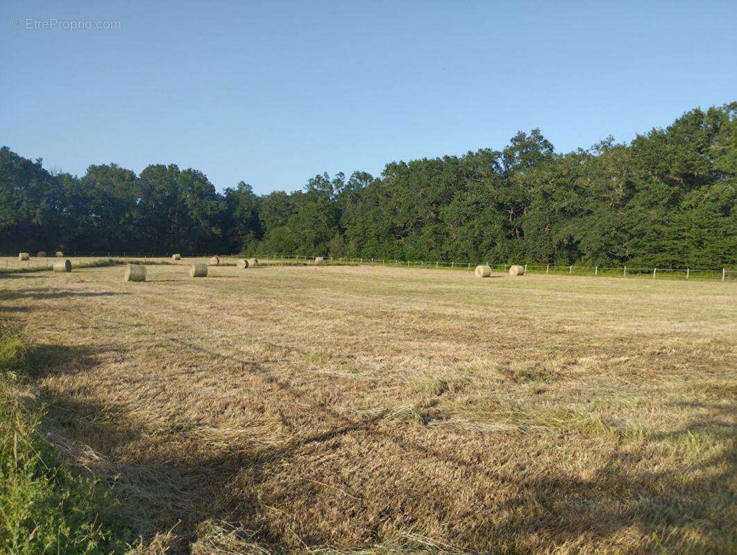 Maison plain pied avec 2 hectares de prairies - photo 15