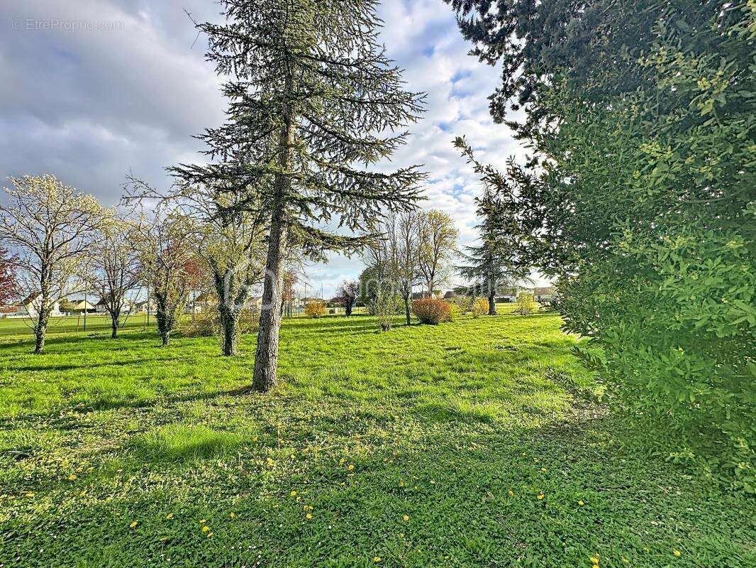 Terrain à BRAZEY-EN-PLAINE