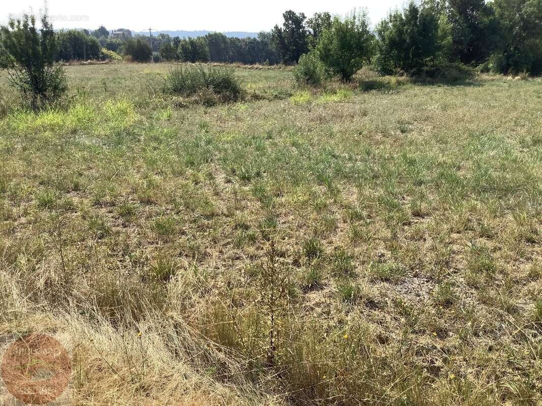 Terrain constructible de 3706 m² pour differents projets de construction - photo 5