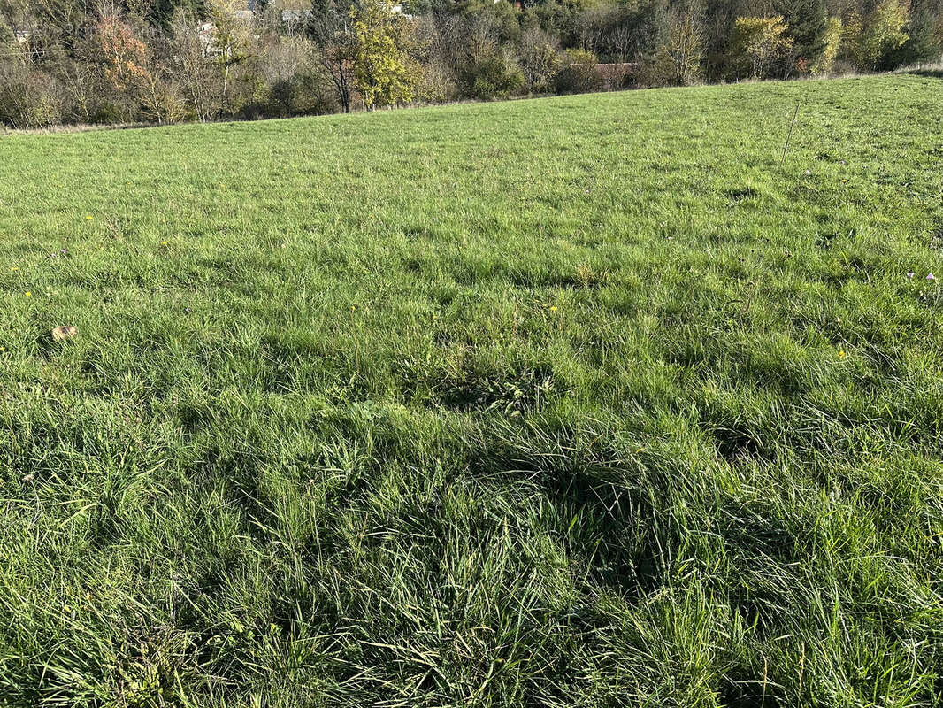 Terrain à PONT-SALOMON