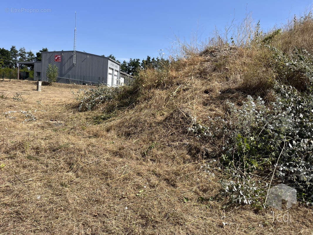 SAULCE SUR RHONE, Terrain à bâtir à vocation industrielle - photo 2