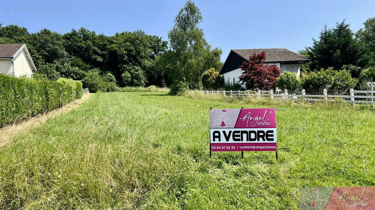 Terrain à ROCHEFORT-SUR-NENON
