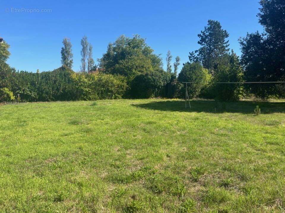 Terrain à MONTELIMAR