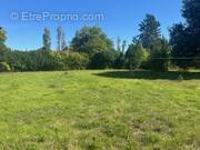 Terrain à MONTELIMAR