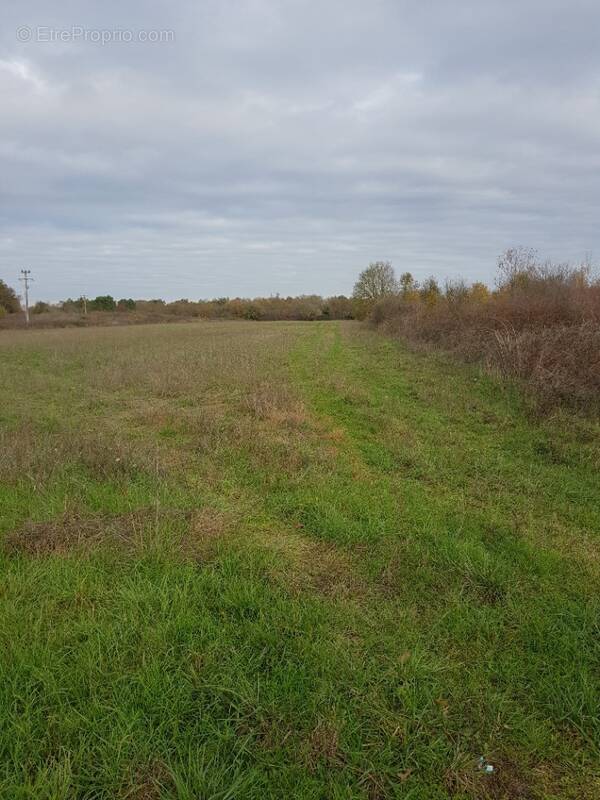 Terrain à SAINT-CIERS-D'ABZAC