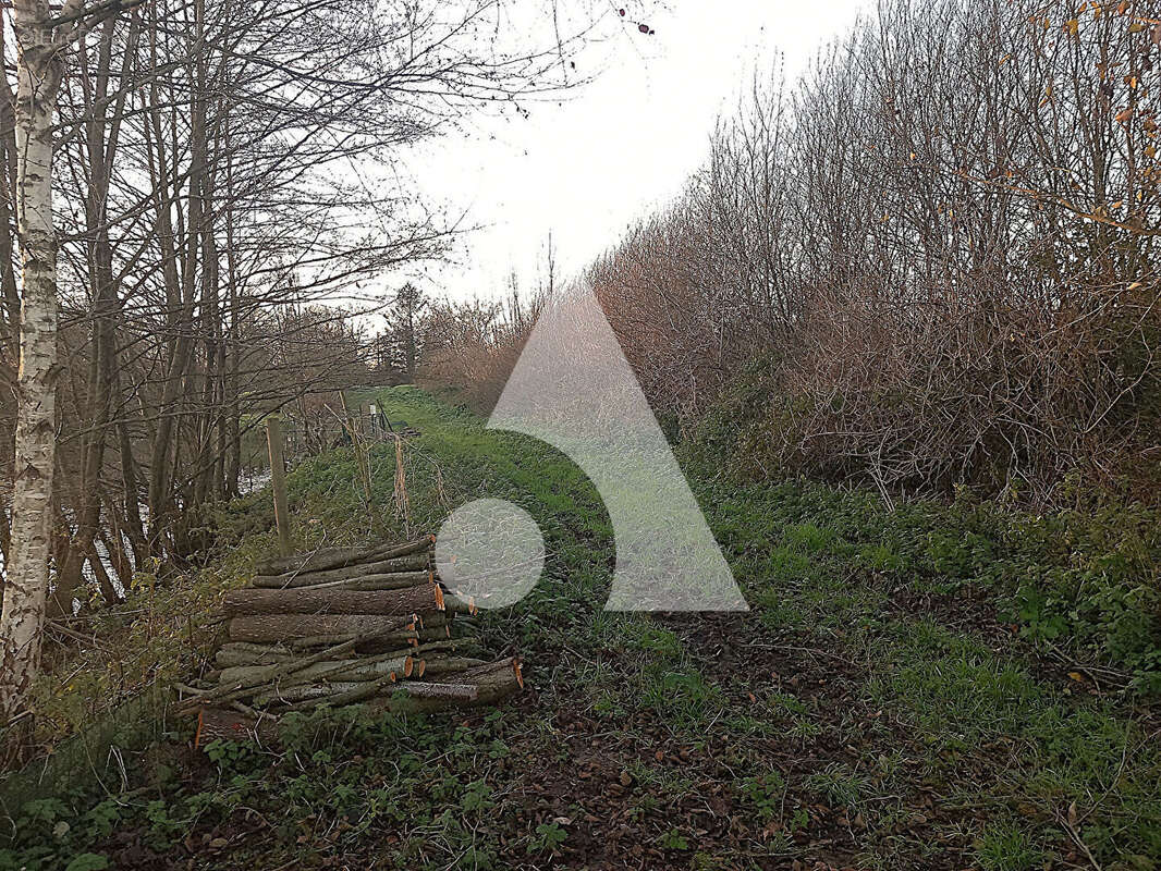 Terrain à BERLAIMONT