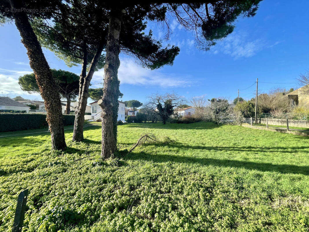 Terrain à SAINT-PALAIS-SUR-MER