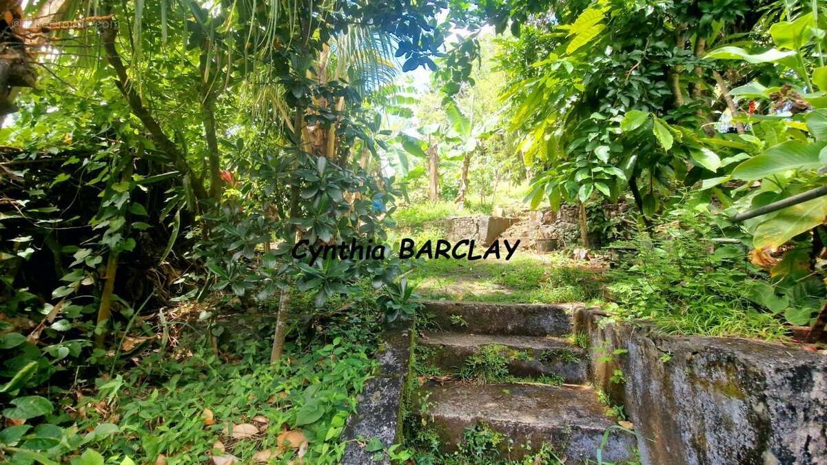 Terrain à FORT-DE-FRANCE