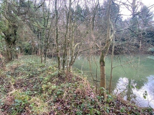 Terrain à LE RIBAY