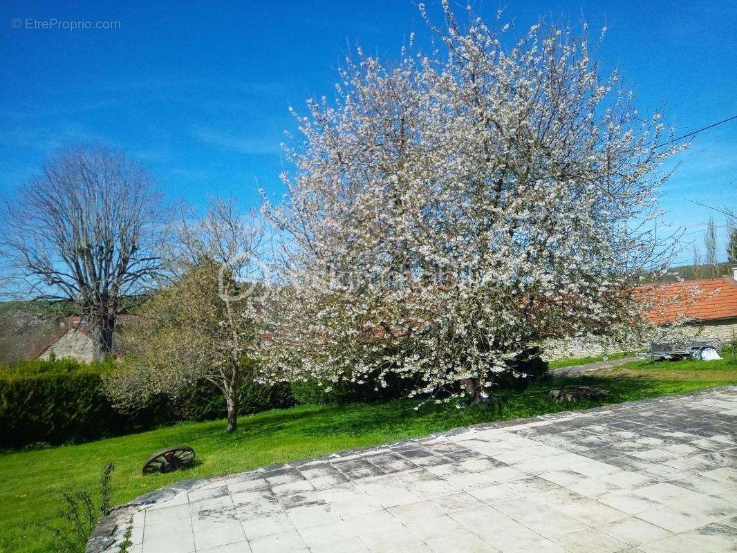Au calme entouré de verdure proche de noyers bourgogne 89 - photo 8