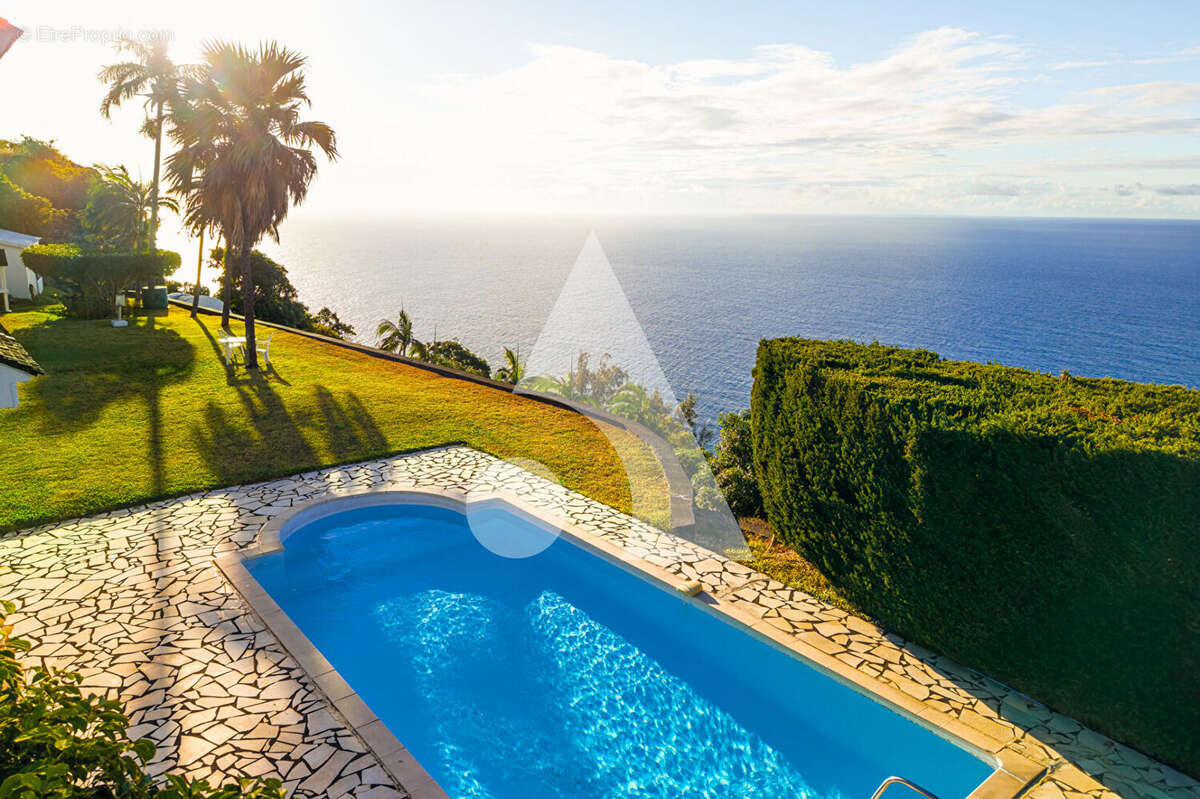 Magnifique propriété de prestige à 220 m d'altitude. - photo 3