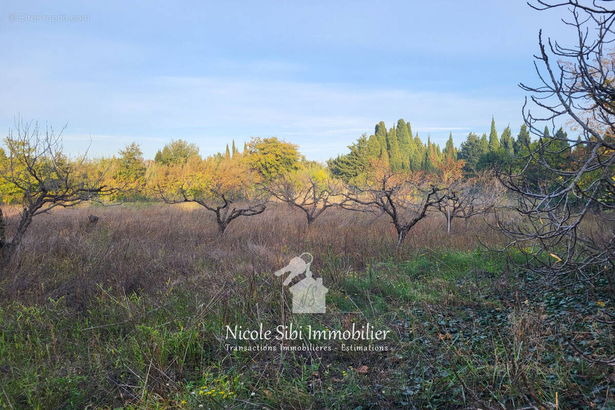 Terrain à CORNEILLA-LA-RIVIERE