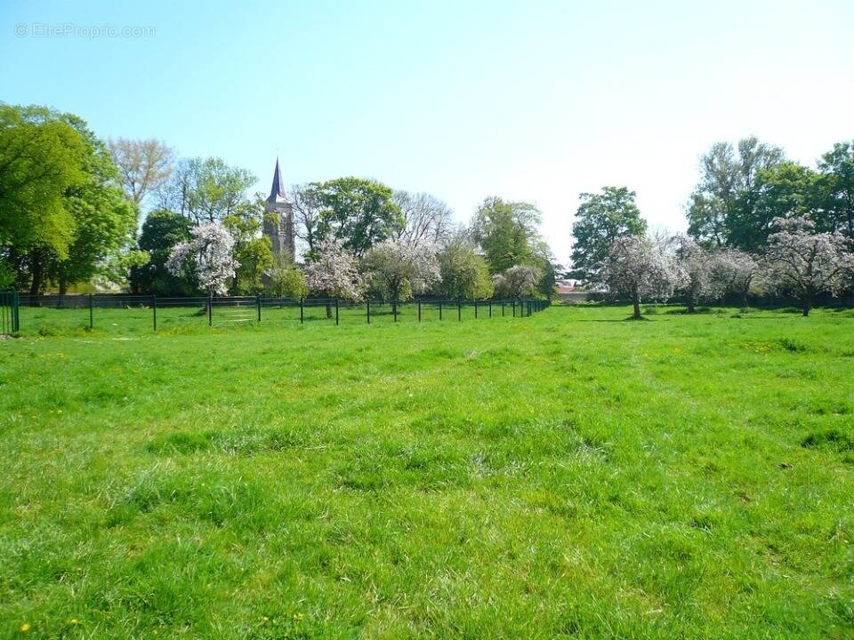 Terrain à EMALLEVILLE