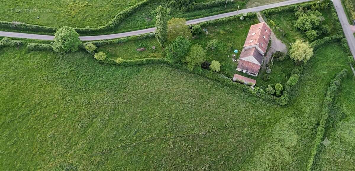 Maison 267 m² à Crux-La-Ville  - photo 2