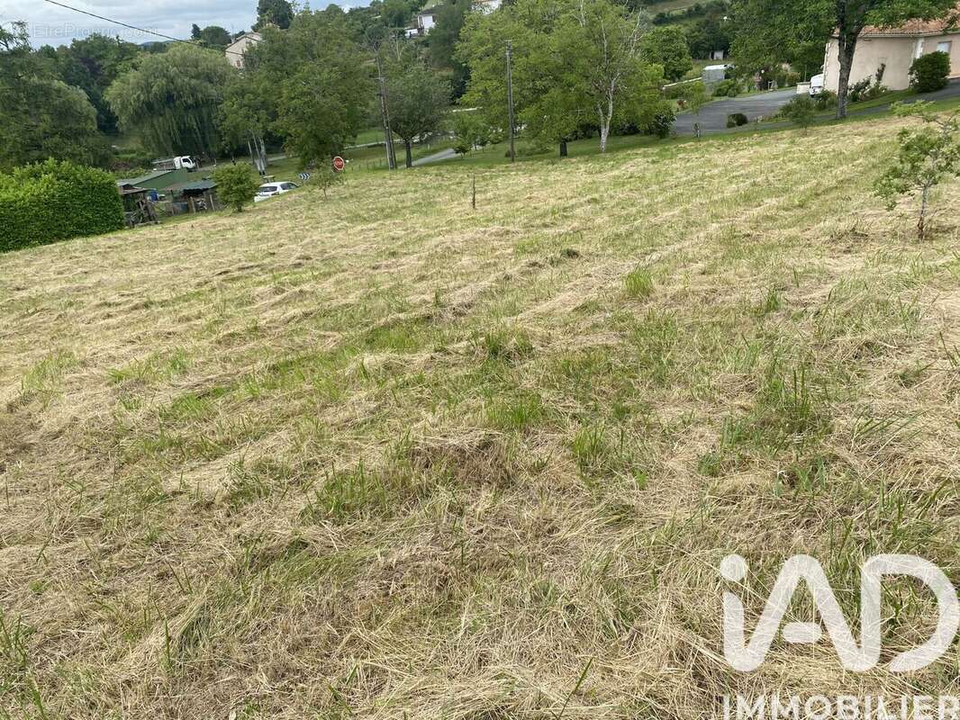 Terrain 1136 m² à Villetoureix  - photo 3