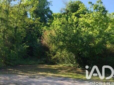 Photo 4 - Terrain à MALESHERBES