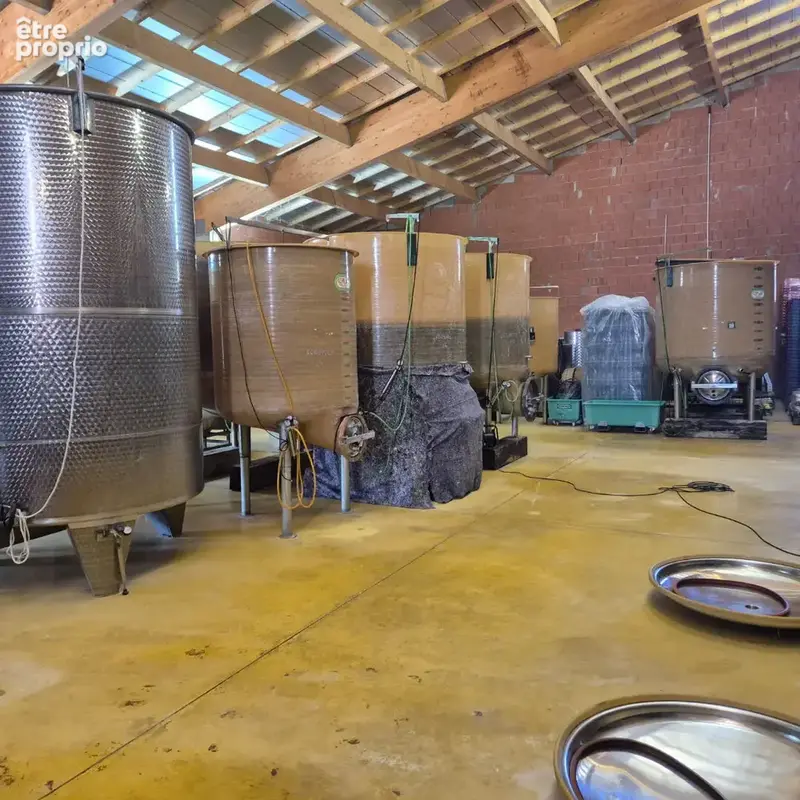 Domaine viticole - photo 9