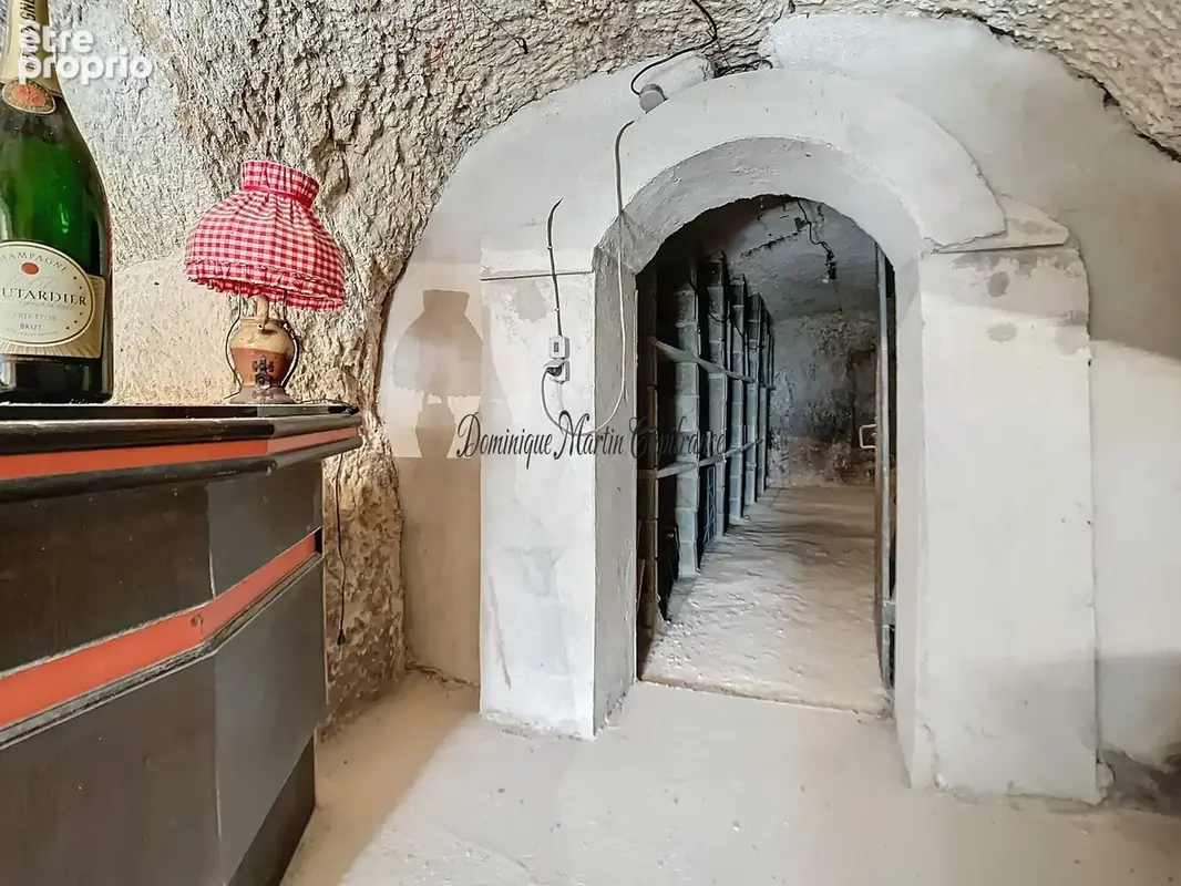 COUTURE SUR LOIR (dpt 41),Maison à vendre 85m²- 4 pièces-dépendance-garage-caves - terrain 2372m² - photo 19