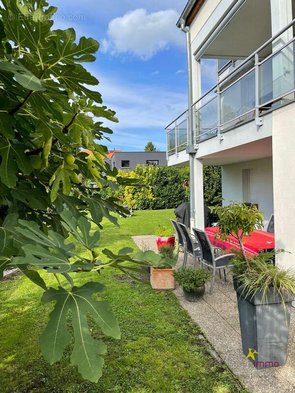 Appartement à COLMAR